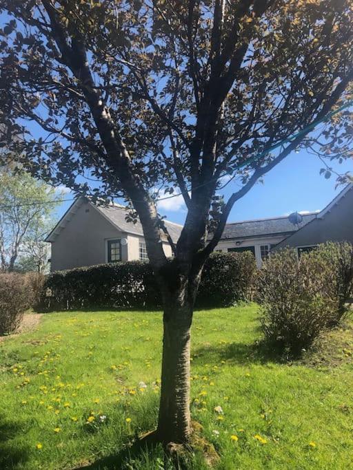 West Lodge 3 Bedrooms, Near Golf Course And River Turriff Bagian luar foto